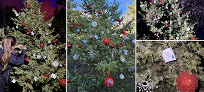 Потег за поздрав: Девојка од Скопје накити новогодишна елка на Водно за да ги радува случајните минувачи