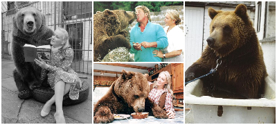 Лудата приказна за парот кој чувал огромна мечка: Ѝ правеле шпагети, ѝ славеле родендени