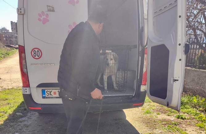 Орце Ѓорѓиевски: Кисела Вода не и плаќаше на „Лајка“ зошто не ја добиваше услугата