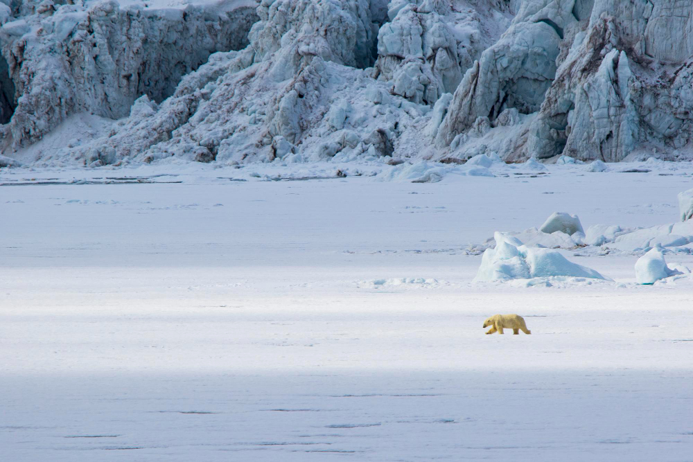 Зошто светските суперсили се тркаат за контрола над Арктикот?
