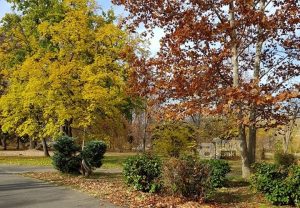 Температури до 15 степени денеска, пријатно време и во викендот