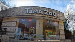 Волк избега од зоолошка градина во Токио