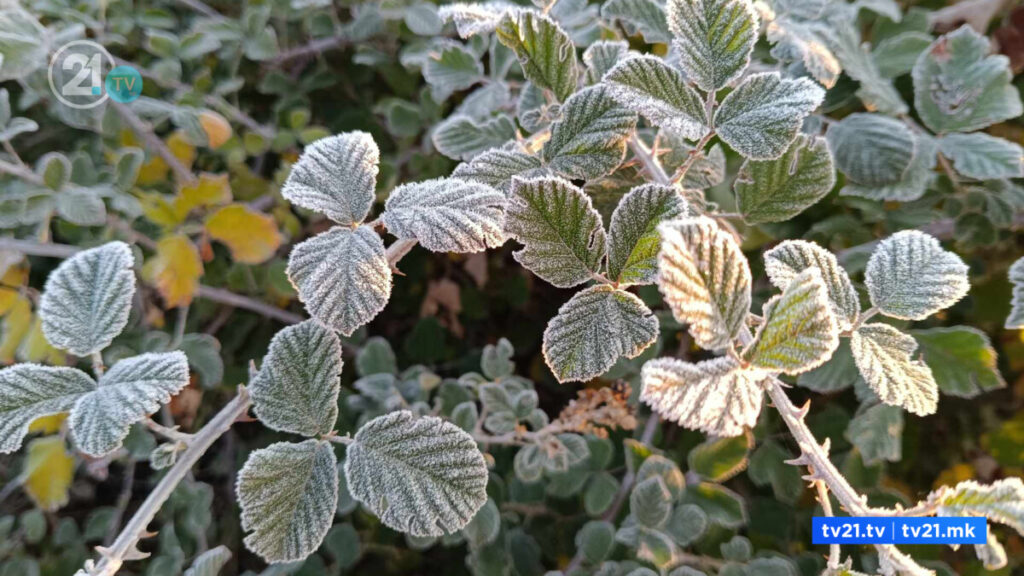 Најстудено во Битола, измерени -3 степени