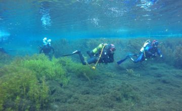 Четврт Конгрес на нуркачи со меѓународно присуство во Охрид