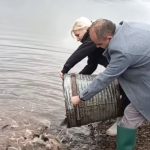 СТРЕЖЕВСКОТО ЕЗЕРО ПОРИБЕНО СО КРАП