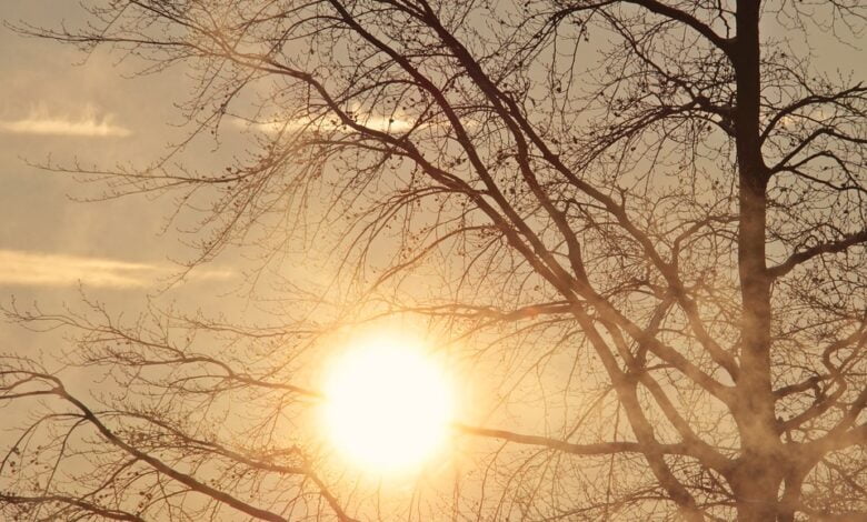 Времето денеска: Наутро магла, преку ден до 13 степени