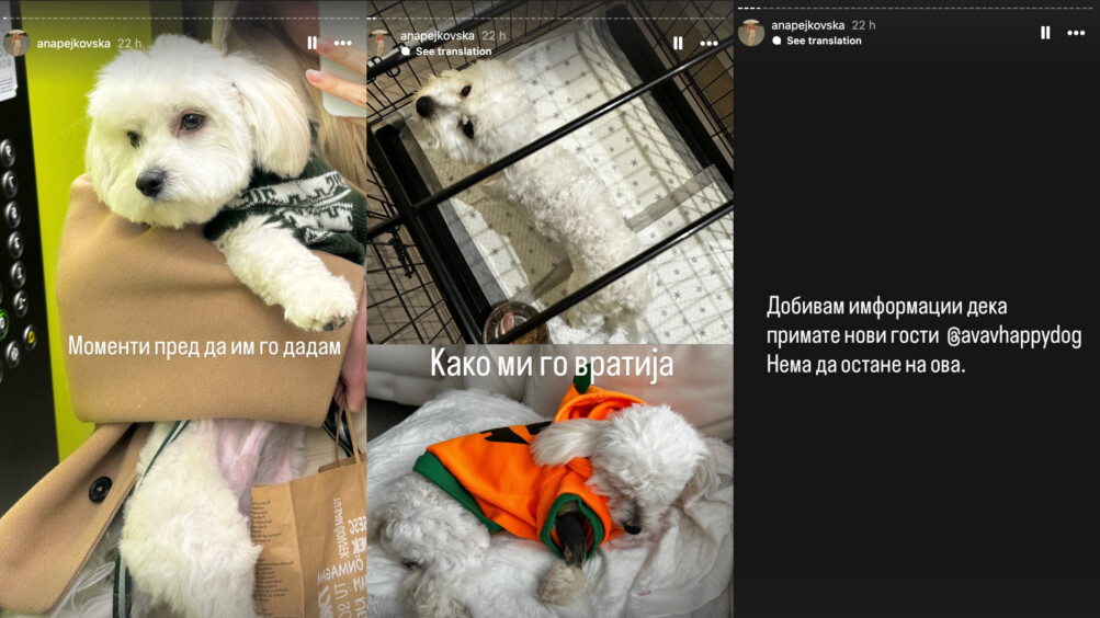 Сомнежи за парво вирус во пансион за кучиња во Скопје: сопственичка тврди дека миленикот ѝ угинал по престој во „Ав, ав“, заразени и други миленици  Автор: Скопје1.мк објавено пред 39 минути – 29 декември, 2025  СКОПЈЕ   Ана Пејковска тврди дека нејзиното куче починало откако било оставено на чување во пансионот за кучиња „Ав, ав“, посочувајќи дека животното било вратено во тешка здравствена состојба и заразено со парвовироза. Таа за случајот јавно проговори на социјалните мрежи, каде објави дека, според неа, во пансионот има присуство на парво вирус и ги повика сопствениците итно да ги земат своите миленици.  — реклама —  „‘Ав, ав’ ми го убија кучето. Сите да си ги земете и однесете кучињата дома. Во хотелот има парво вирус. Земете си ги со време, пред да ви ги изгладнат без да ви кажат, со денови, и да ви умрат во раце штом ги земете“, напиша Пејковска во јавната објава.  Според нејзиното сведоштво, кучето по име Мајло престојувало десет ноќи во пансионот. На 25 декември, околу 17 часот, ѝ било вратено со објаснување дека тој ден не јадел и бил нерасположен. Таа тврди дека веднаш по преземањето, уште пред да стигнат дома, кучето повратило и се онесвестило, по што било однесено на итен ветеринарен преглед.  — реклама —  „На ветеринар ни рекоа дека има парво вирус и дека е речиси во крајна фаза. Кога ја контактирав ветеринарката за која ми беше кажано дека рекла дека кучето е добро, таа ми потврди дека имало крв во изметот – информација што јас никогаш не ја добив од пансионот. Мајло беше со обилно крвавење, од 5,5 килограми паднат под четири. Ми го вратија како сенка од куче. Ова не се случува за еден ден. Ова е резултат на денови болка, гладување и игнорирање“, наведува Пејковска.  Таа посочува дека, и покрај обидите на ветеринарите со инфузии и терапии, состојбата била веќе критична и кучето починало. Според неа, доколку пансионот навреме реагирал и ја информирал за здравствените проблеми, постоела реална шанса животното да преживее.  Редакцијата на „Скопје1“ утринава побара став од пансионот за кучиња „Ав, ав“, но до моментот на објавување на овој текст не добивме одговор, ниту реакција на поставените прашања.   Во меѓувреме, Пејковска објави и комуникација, за која тврди дека била водена меѓу пансионот и друг корисник на нивните услуги, кој прашувал дали неговото куче било во контакт со заразениот и починат Мајло. Според објавените принт-скринови, сопственикот бил уверуван дека контакт немало, но подоцнежните тестирања покажале дека и тоа куче, иако возрасно и со претходни здравствени проблеми, било позитивно на парво вирус