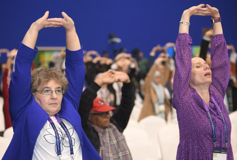 СЗО им се враќа на билките, акупунктурата и јогата