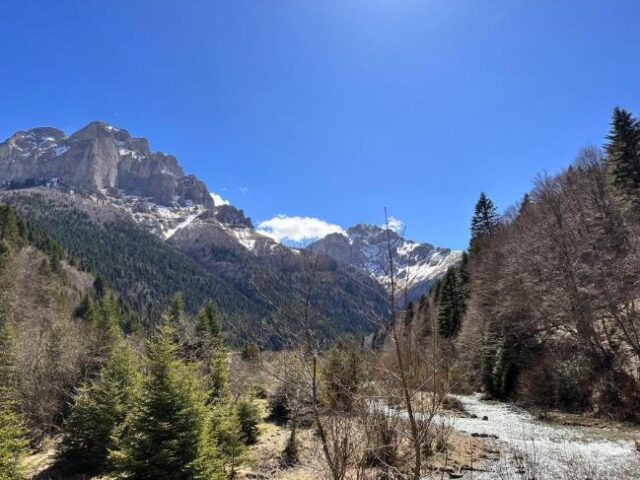 Кривична за две лица кои бесправно изградиле бетонски столбови на Шар Планина