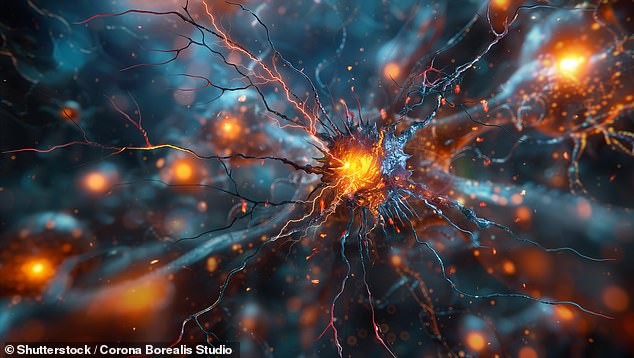 Човекот нема пет сетила! Научник тврди дека имаме дури 33 и тие мoжат да ни го променат животот