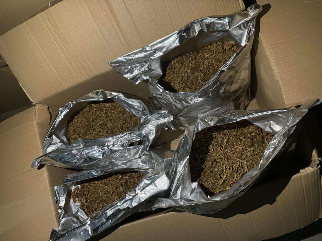 Татко и син од гевгелиско Богданци се осомничени дека одгледувале марихуана во специјално опремен шатор