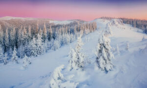 Снежна бура во Шведска: Десетици илјади домаќинства се без електрична енергија