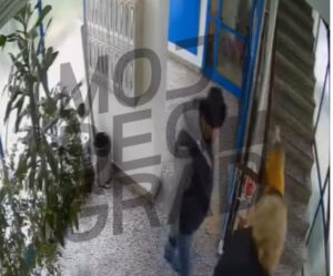 Камерите го снимија напаѓачот од Нов Белград: Монструмот избоде жена (67) која беше со нејзиниот внук