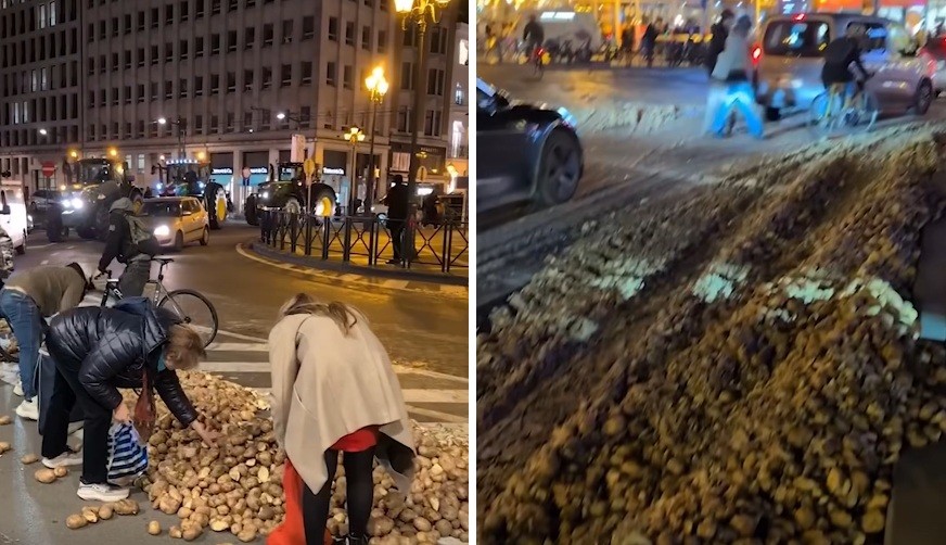 (ВИДЕО) Жителите на Брисел ги собираа компирите кои ги фрлија земјоделците