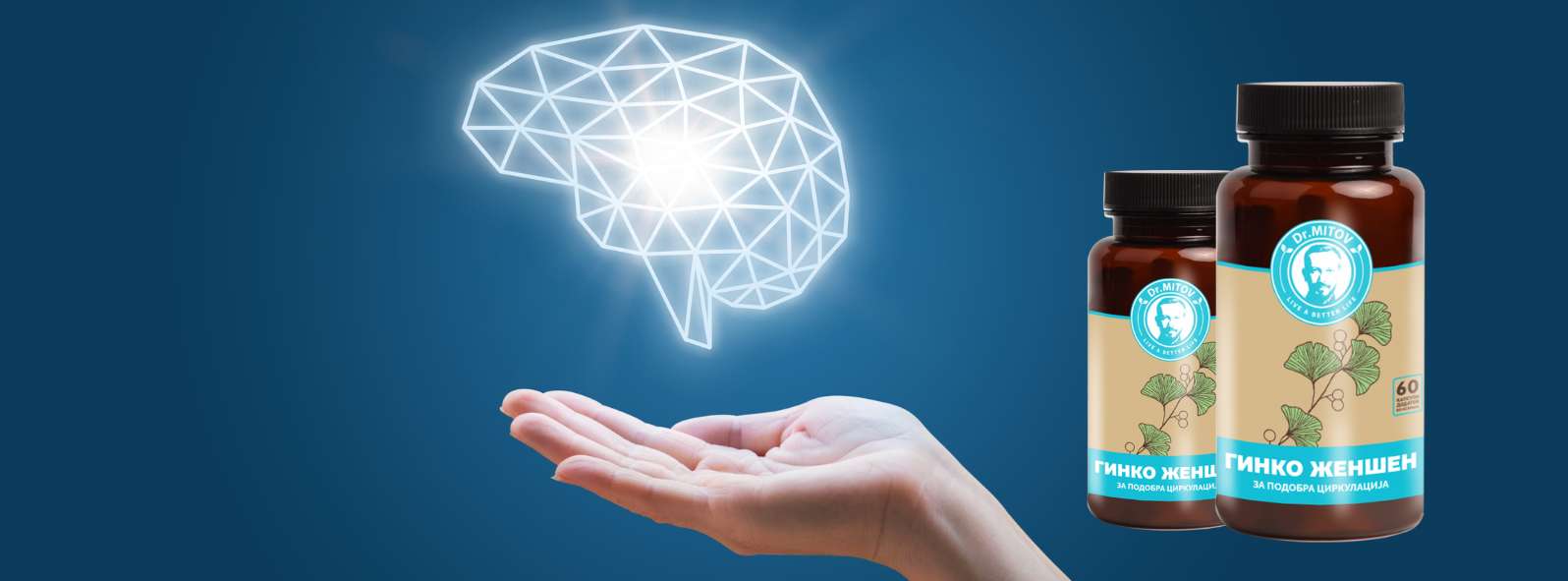 Проблеми со концентрација и помнење? Гинко-женшен како потенцијално решение