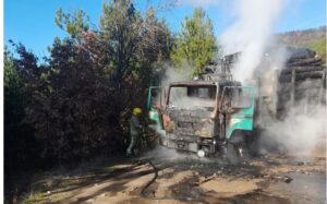 Се запали камион во село Косевица, пожарот го изгаснаа каменичките пожарникари