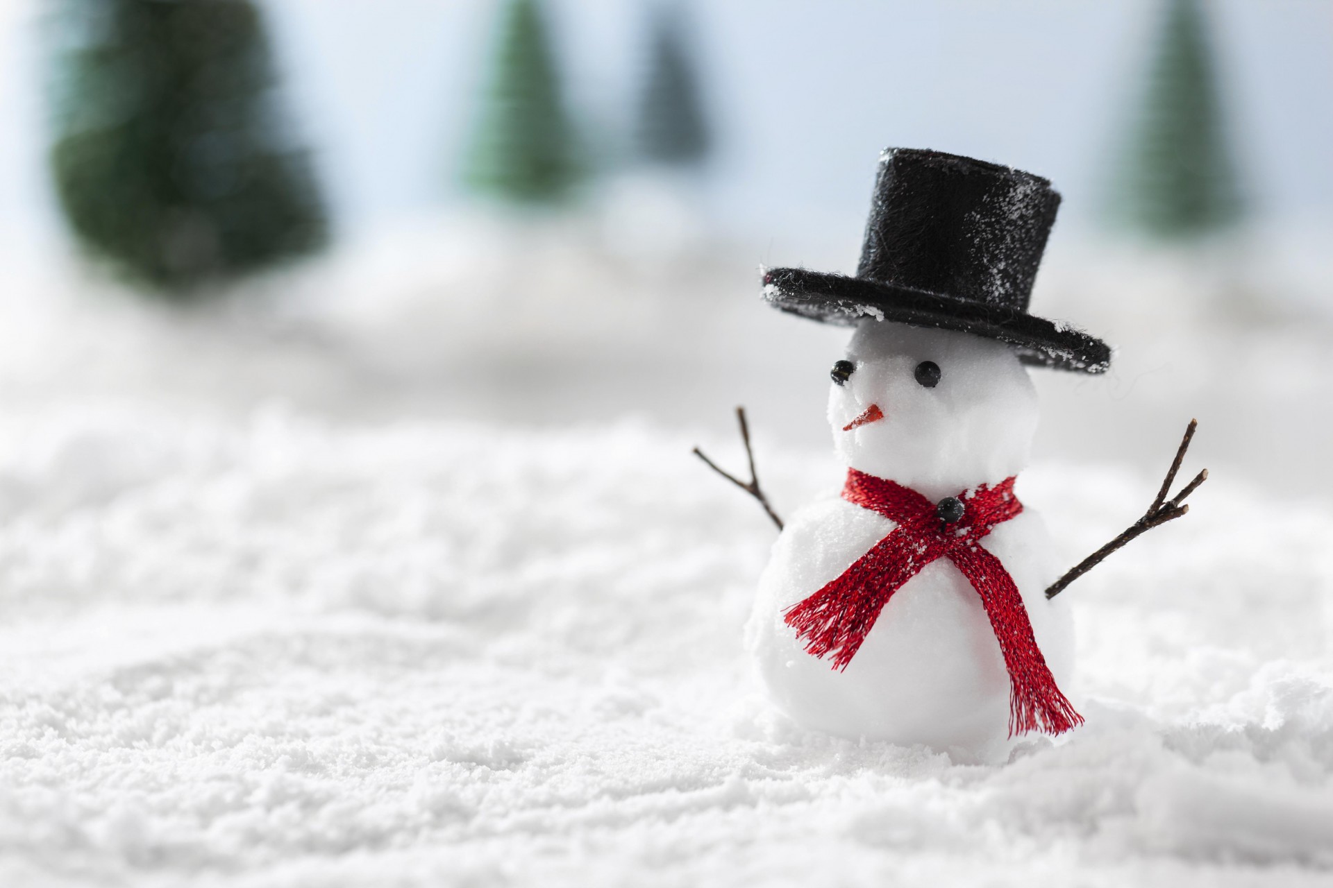 Од Католички Божиќ и за Нова година надоаѓање на вистинската зима?!