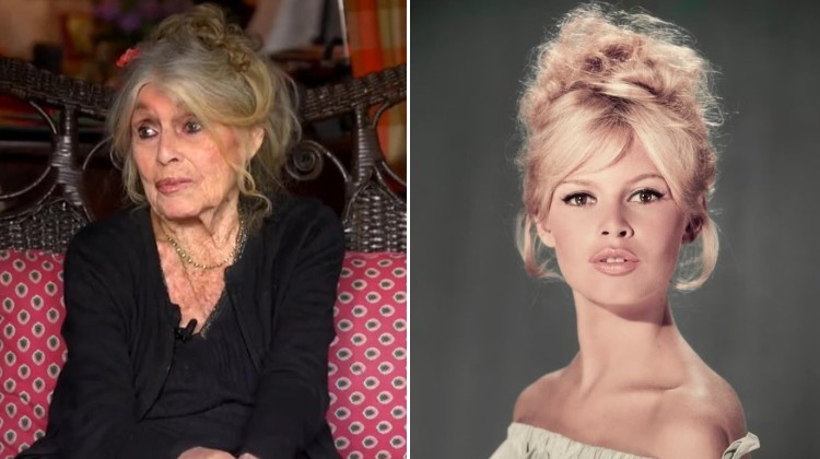 ЗАМИНА ЛЕГЕНДАРНАТА БРИЖИТ БАРДО: освен што ја освои филмската публика, брзо стана инспирација за уметниците и интелектуалците