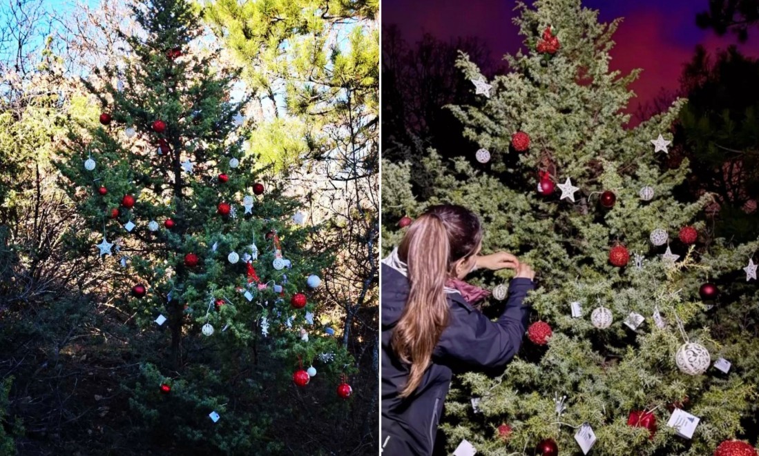 Тивки херои го накитија Водно: Внесоа празнична магија во природата