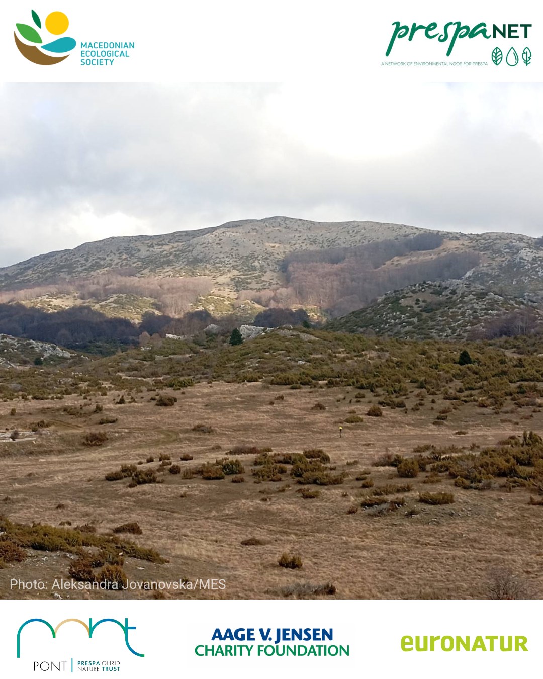 Утврдена најголемата хибернациска колонија на лилјаци од видот мал потковичар во Преспа
