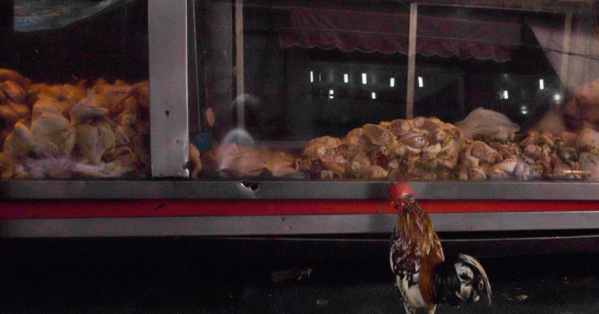 Нема казна за увозникот на небезбедно пилешко месо од Бразил