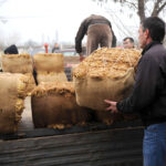 Откупени околу 25 000 тони тутун по 419 денари, откупот трае до 28 февруари