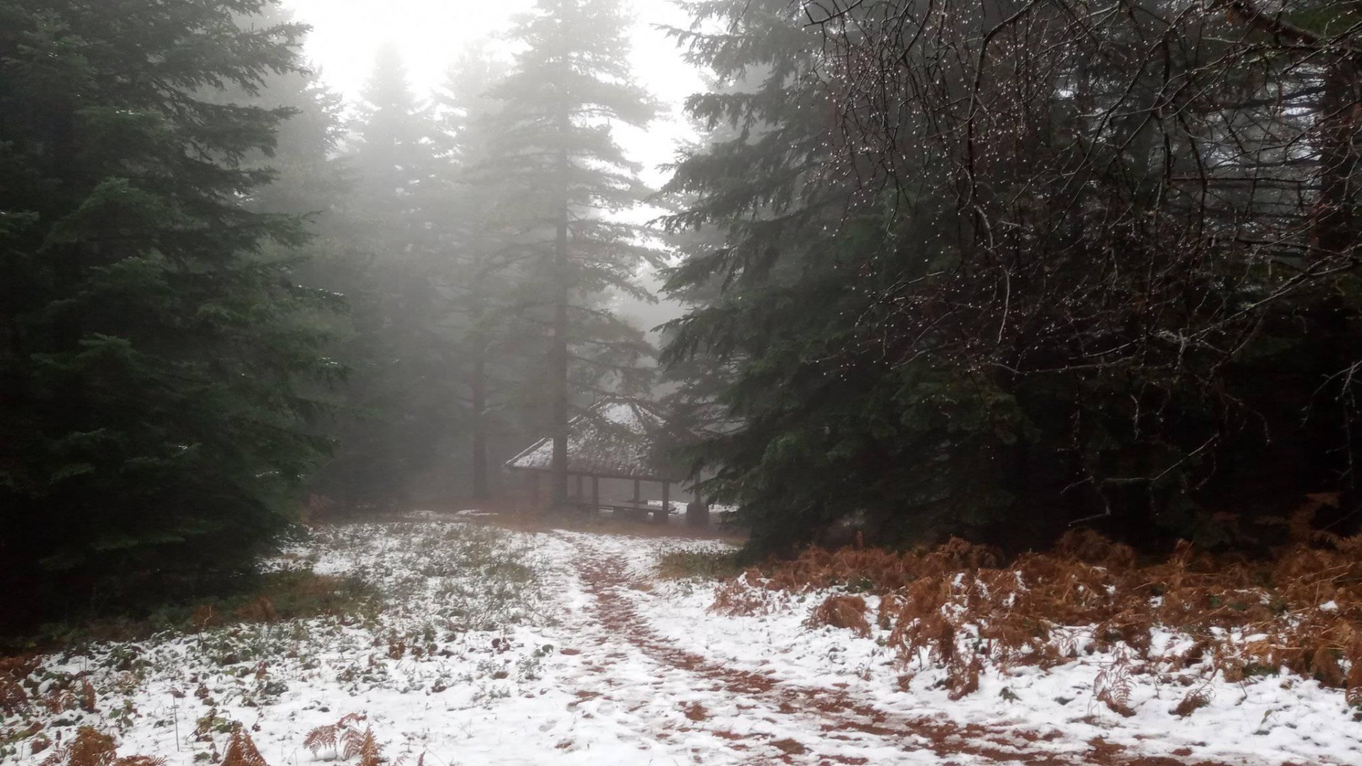 Планинар се изгубил на Пелистер