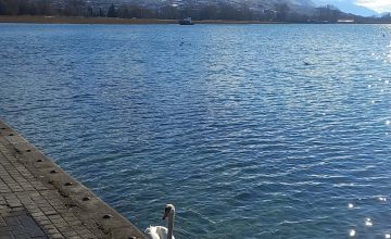 Водостојот на Охридско Езеро девет сантиметри над просекот за јануари