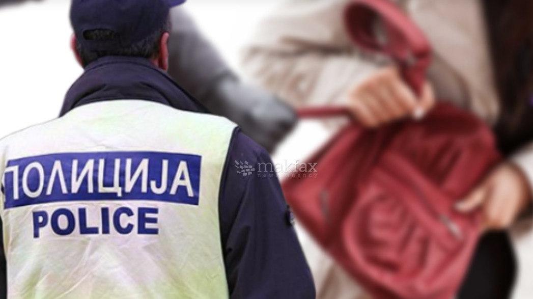 Разбојништво на автобуска постојка:  ограбена скопјанка