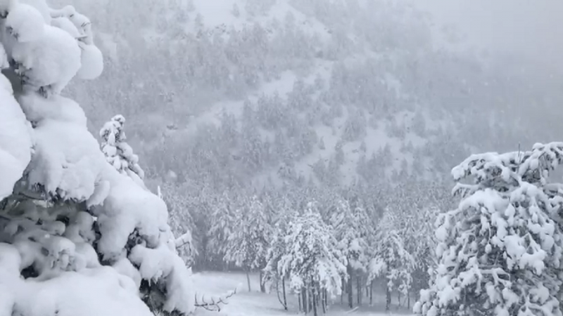 Облачно со снег: Снежната покривка до 25 сантиметри