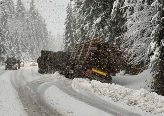 Косовец со „сканија“ паднал во провалија кај Крива Паланка и загинал