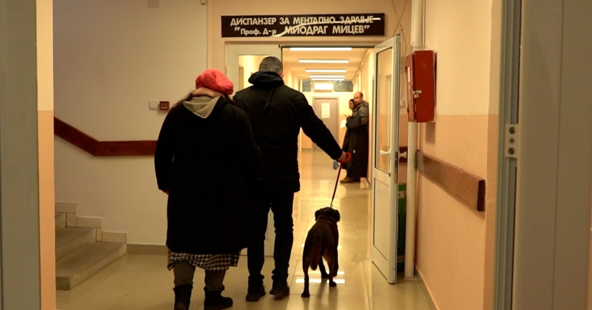 Еден ден со Роџер, терапевтскиот лабрадор на Клиниката за психијатрија