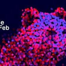 Берлинале ги открива кандидатите за Златна мечка на 76-то издание