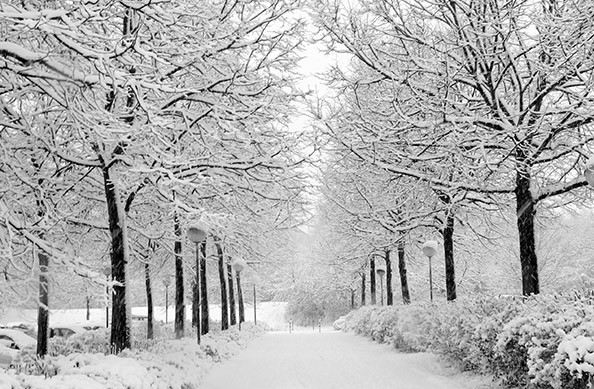 МЕТЕОРОЛОЗИ: Утре наутро ќе паѓа снег во Македонија