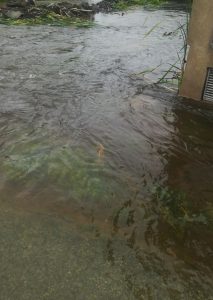 Поплавени куќи, ниви и објекти во Ресенско