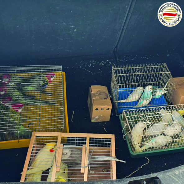 Акции на Царина – спречени обиди за шверц на мобилни телефони, парфеми, над два тони храна, суплементи, половина тон маслиново масло и масло од црно семе, тутун и живи птици