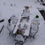 Зошто треба да јадеме снег