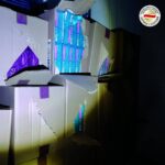 Царина спречи обид за шверц на 5.050 штеки цигари, српски државјанин лишен од слобода