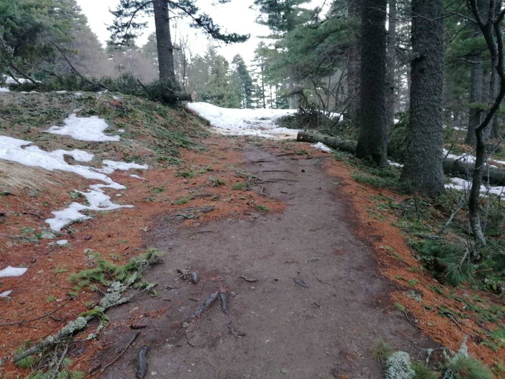 Пронајден е планинарот по кој се трагаше на Пелистер