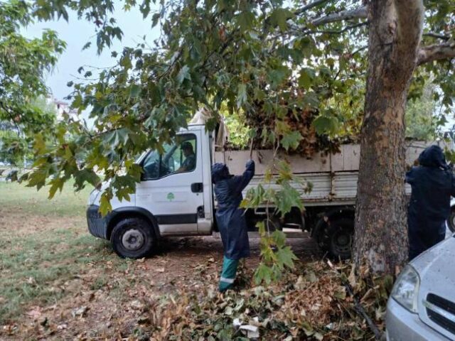 Украдено оружје од сеф во „Паркови и зеленило“