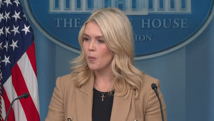 БЕЛА КУЌА: Испраќањето европски трупи на Гренланд нема да влијае на ставот на Трамп