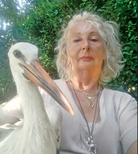 Моја Божиќна желба е Мишко да се врати и повторно да го слушнам неговото тропкање со клунот