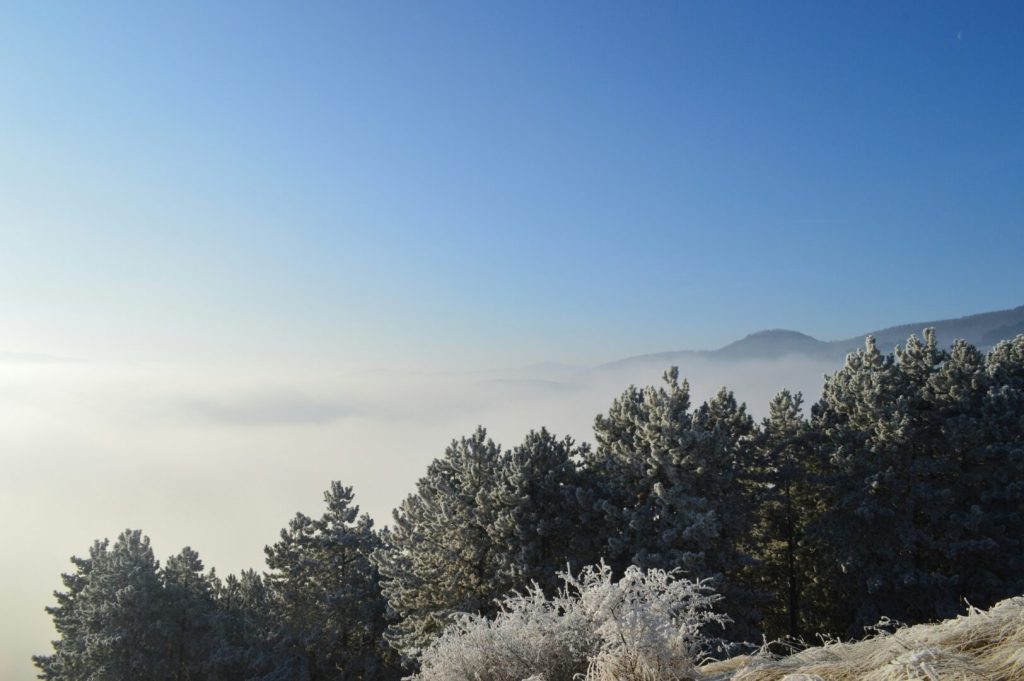 Утрински минусни температури, кон крајот на денот се очекуваат локални врнежи од снег