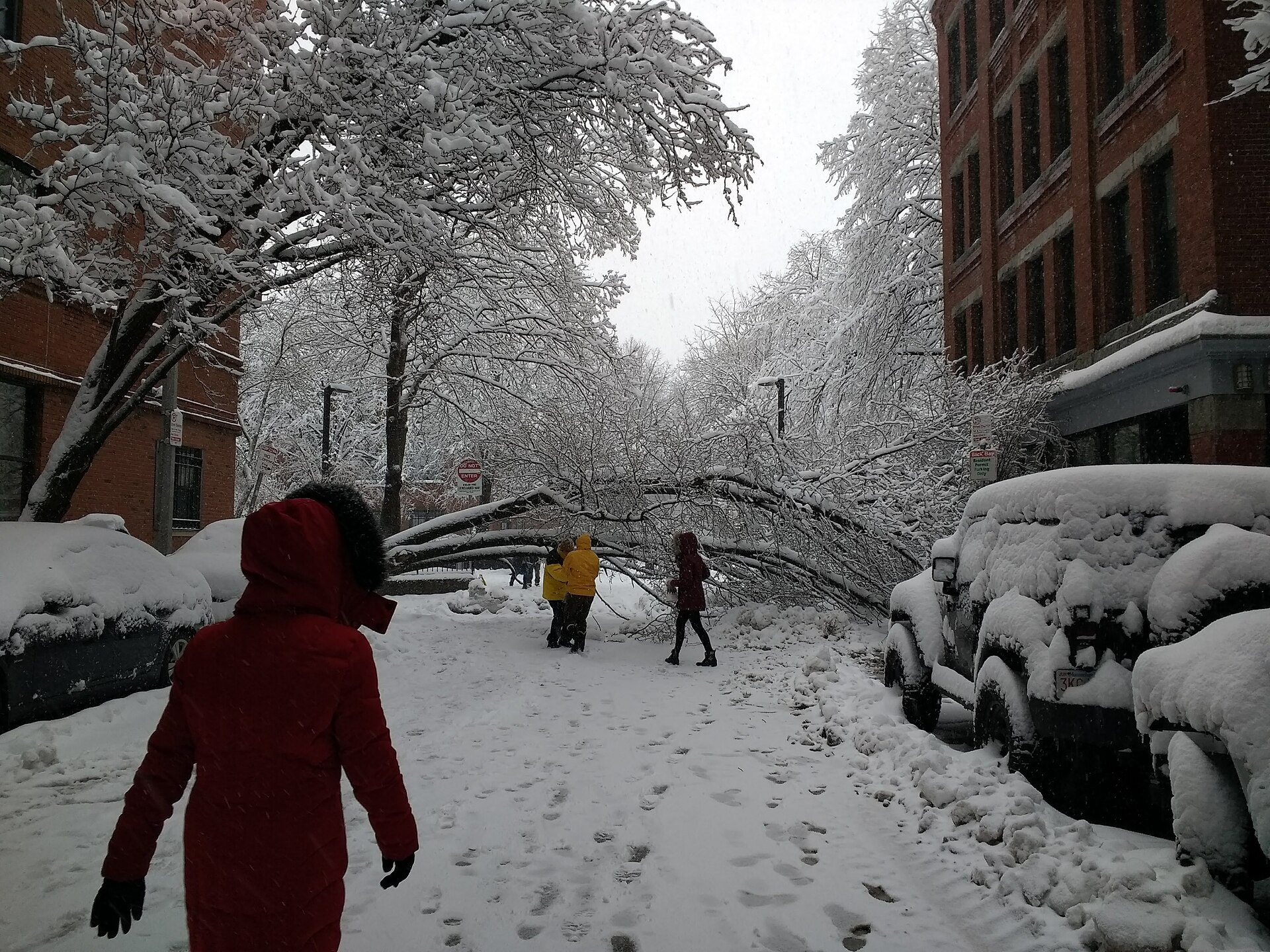 „НАЈСИЛНАТА ЗИМА НА ВЕКОТ“ во САД одзеде повеќе од 30 животи, предизвика прекини на струја, откажани летови и проблеми со снабдувањето