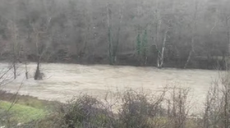 Две лица загинаа откако со возилото паднале во реката Радика