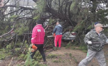 Видео+фото: Во опасност локалниот мост кај Вапила поради надојдените води, дрво падна врз автомобили на ул.,,Никола Карев”