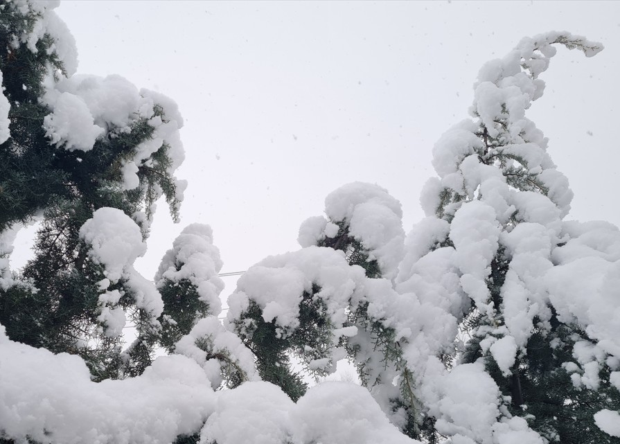 Сите државни патишта се проодни и безбедни за сообраќај, поради врнежите од снег се препорачува внимателно возење