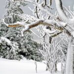 Обилниот снег ја парализира Јапонија, десетина жртви и стотина повредени