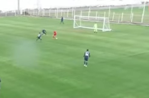 Комедии со голманот на Струга