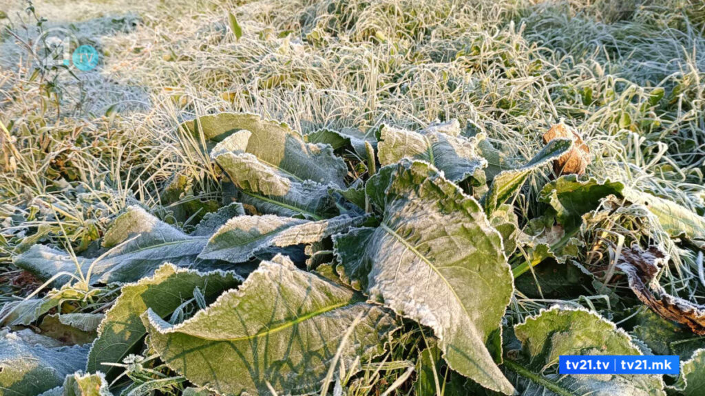 Утрово најстудено во Крушево, измерени -3 степени